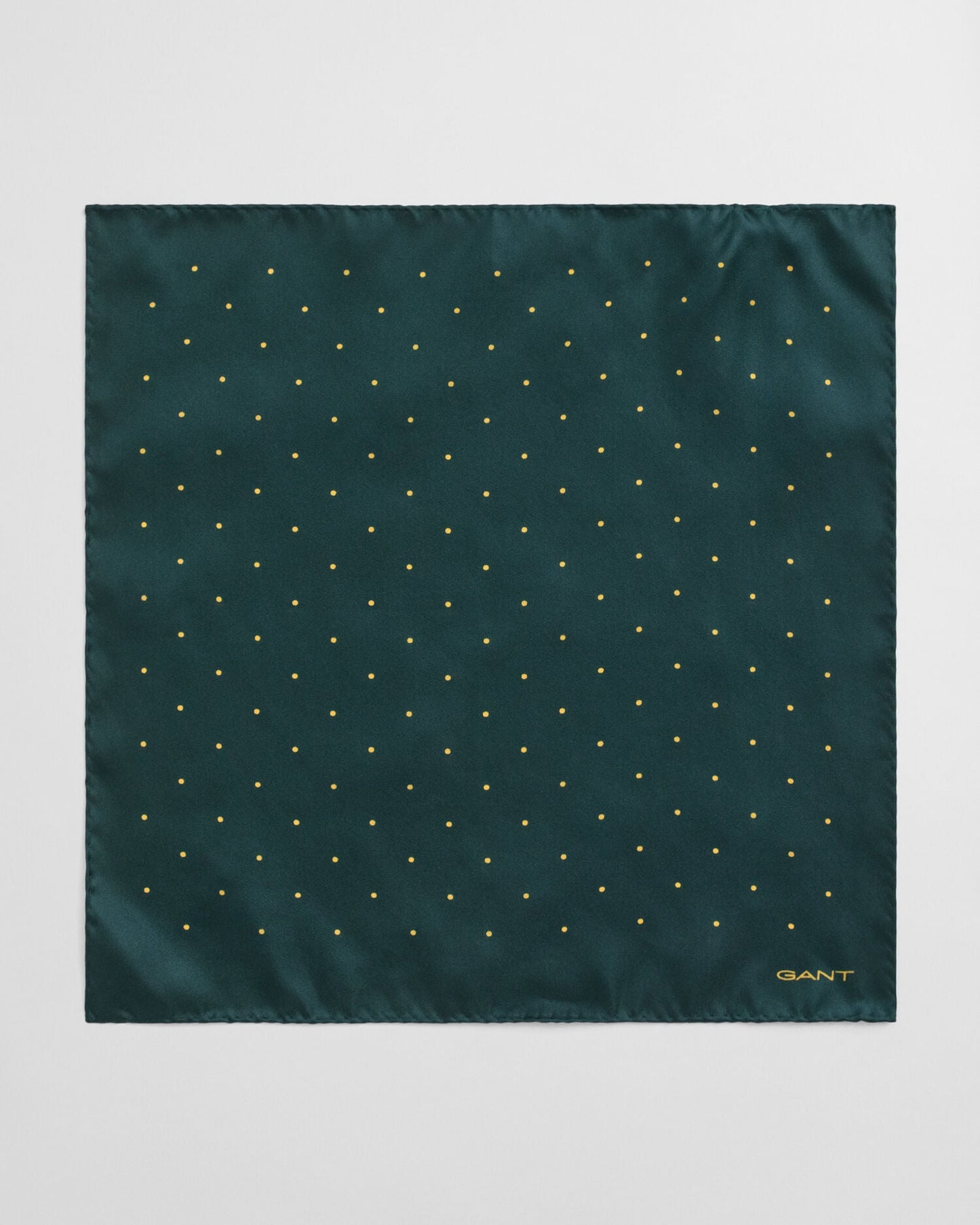 Pochette de costume à pois