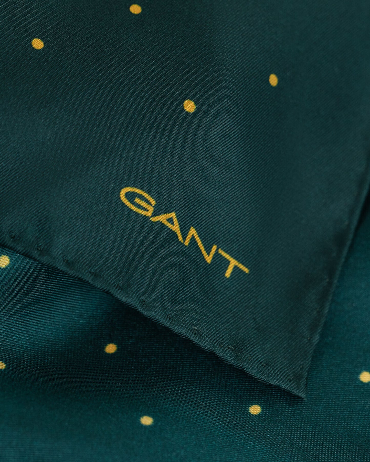 Pochette de costume à pois