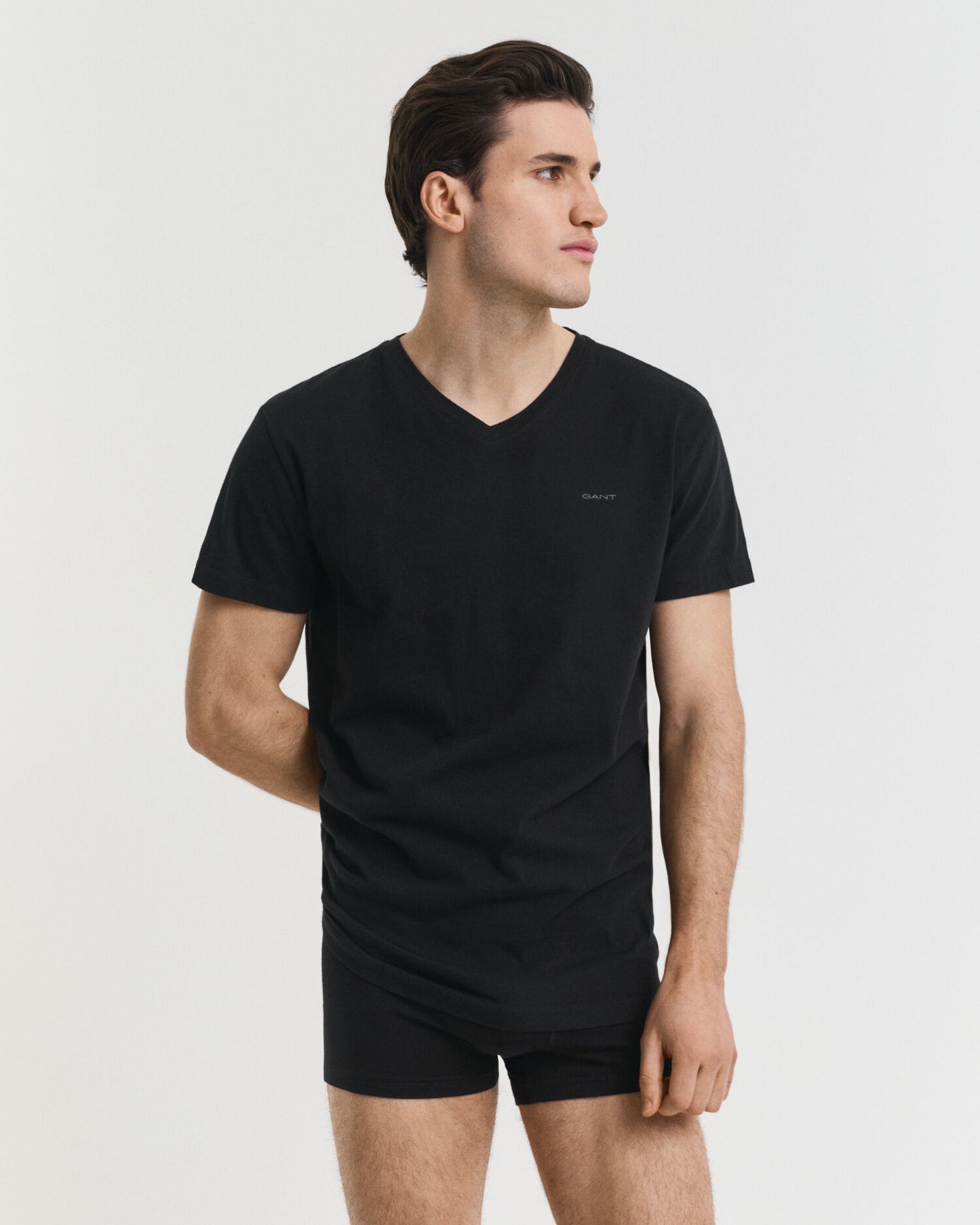 Lot de 2 t-shirts col V